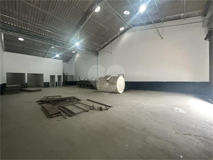 Foto REO1087391
