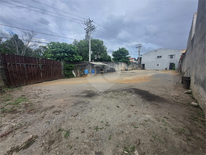 Foto REO1087410