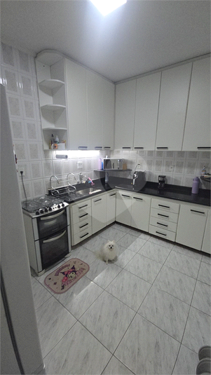 Foto REO1087414