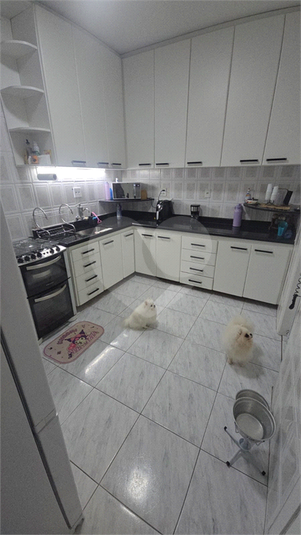 Foto REO1087414