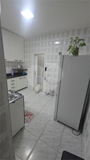 Foto REO1087414