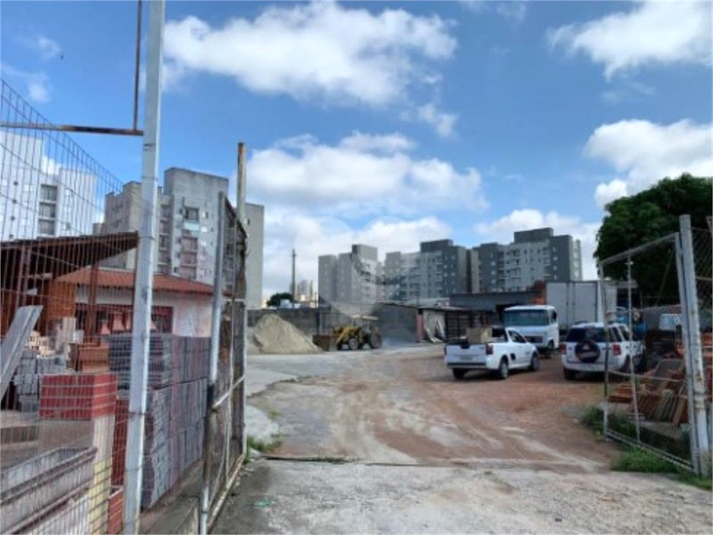 Foto REO1087423