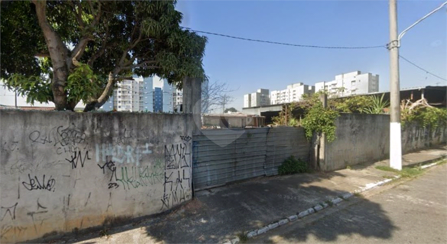 Foto REO1087423