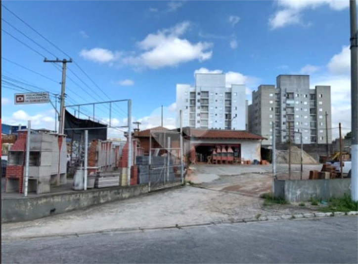 Foto REO1087423
