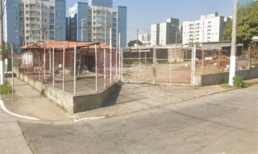 Foto REO1087423