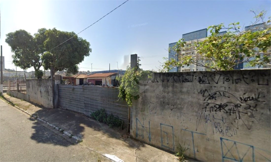 Foto REO1087423