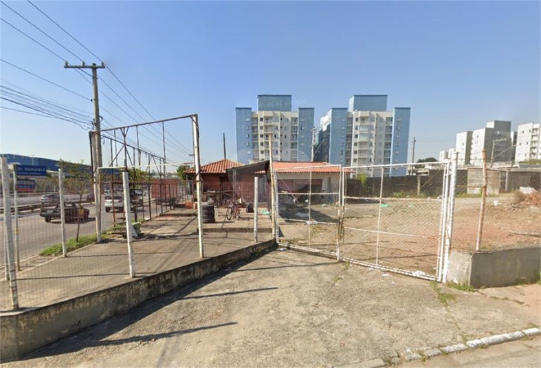 Foto REO1087423