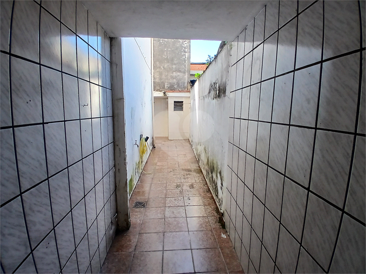 Foto REO1087433