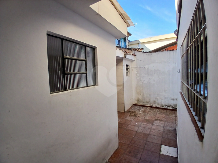 Foto REO1087433