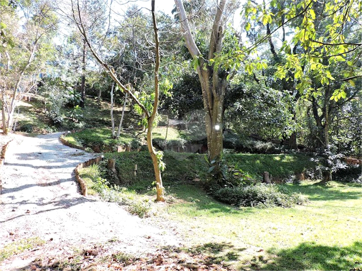 Foto REO1087437