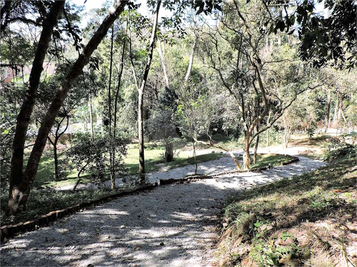 Foto REO1087437