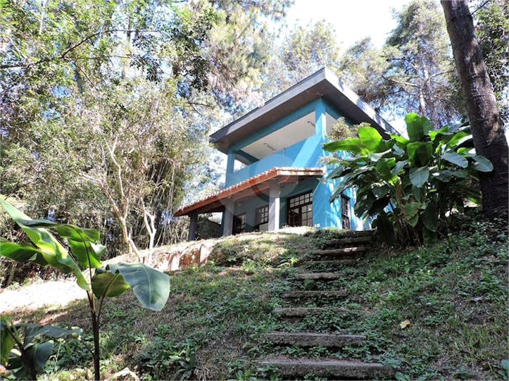 Foto REO1087437