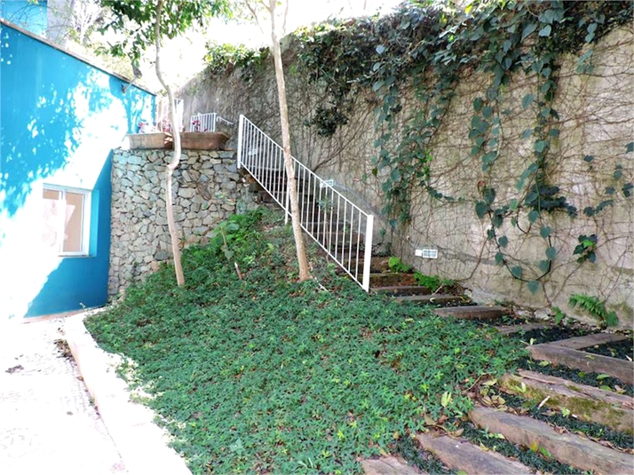 Foto REO1087437