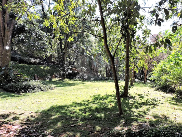 Foto REO1087437