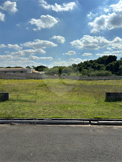 Foto REO1087446