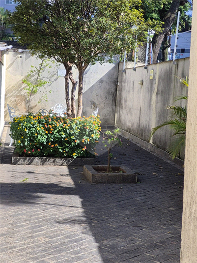 Foto REO1087457