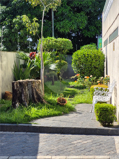 Foto REO1087457