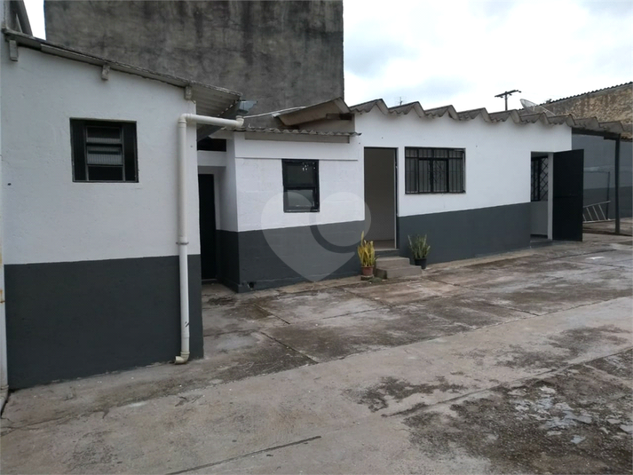 Foto REO1087460