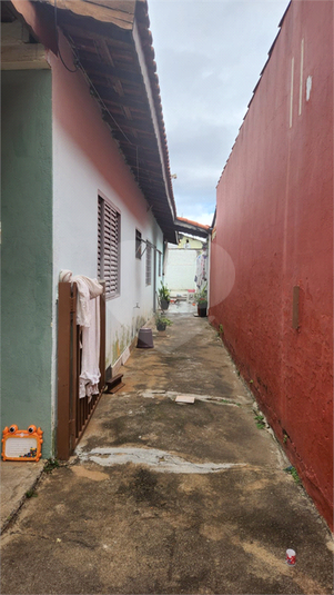 Foto REO1087462