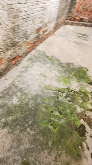 Foto REO1087462