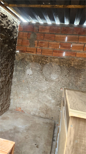 Foto REO1087462