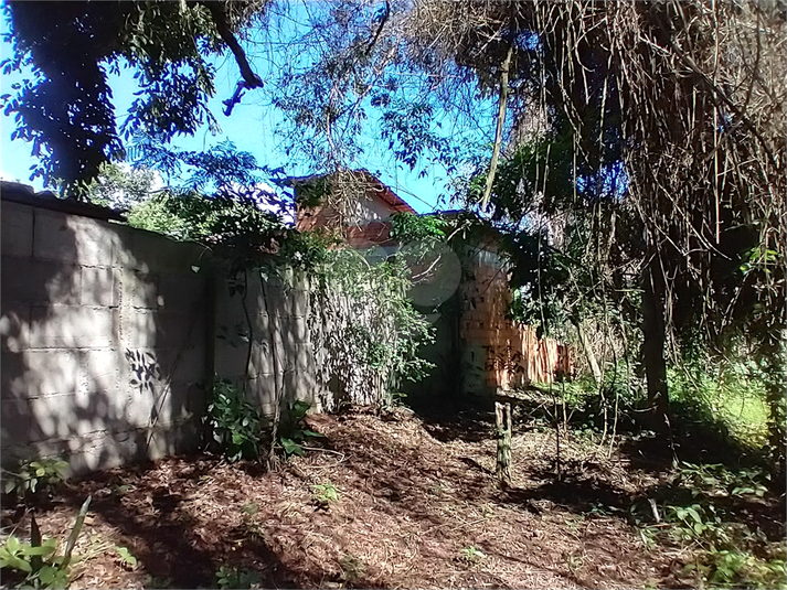 Foto REO1087473