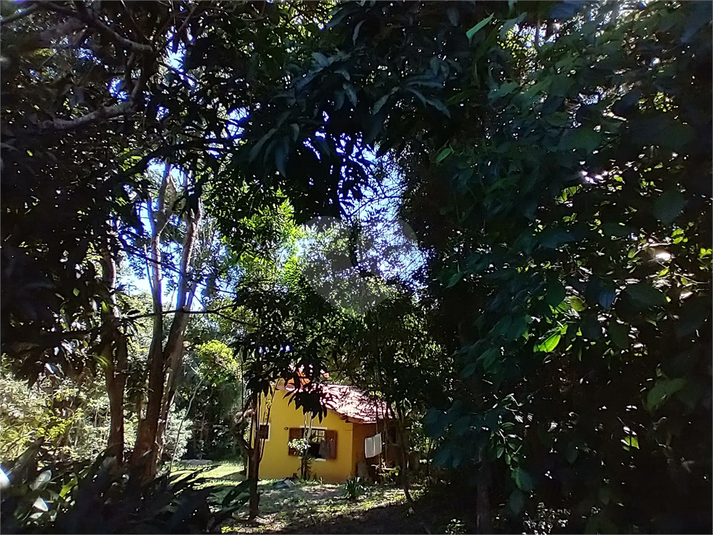 Foto REO1087473