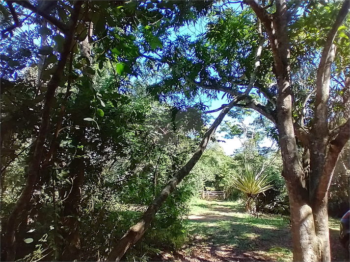 Foto REO1087473