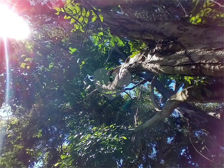 Foto REO1087473