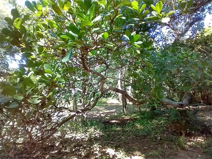 Foto REO1087473