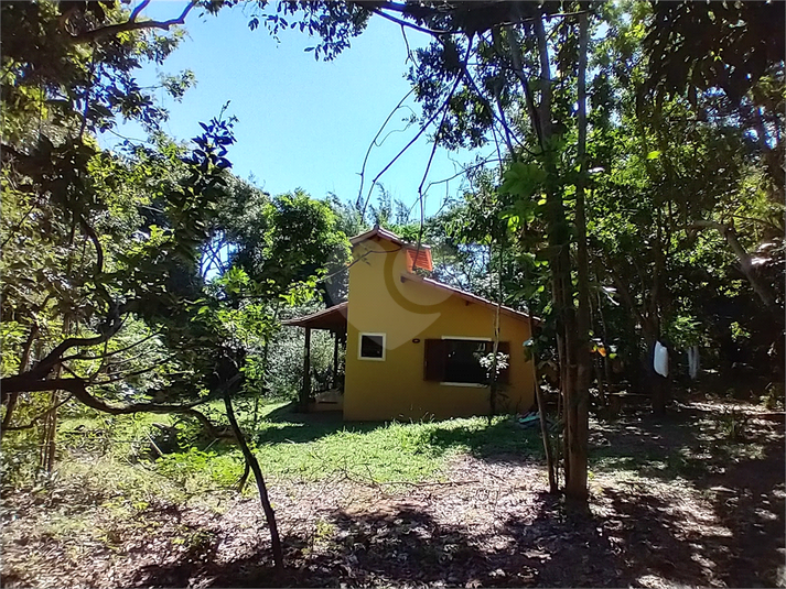 Foto REO1087473