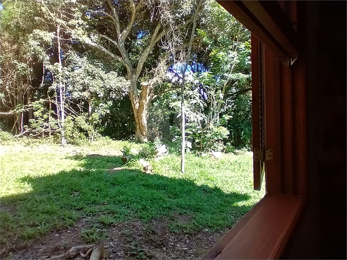 Foto REO1087473