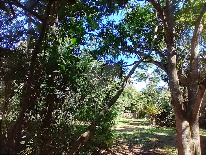 Foto REO1087473