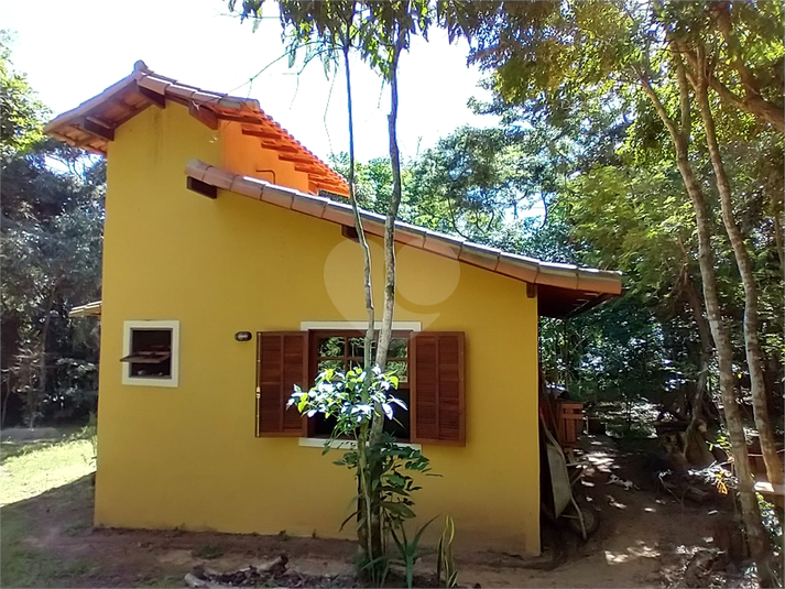 Foto REO1087473