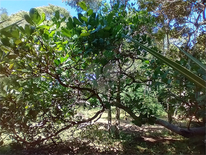 Foto REO1087473