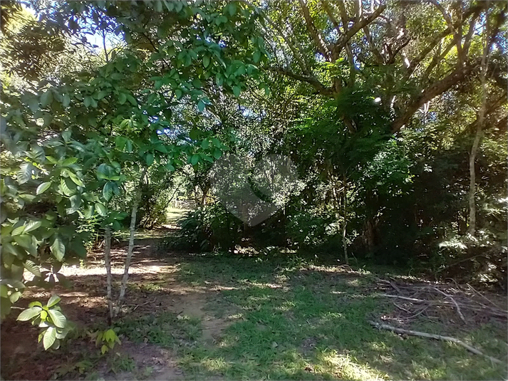 Foto REO1087473