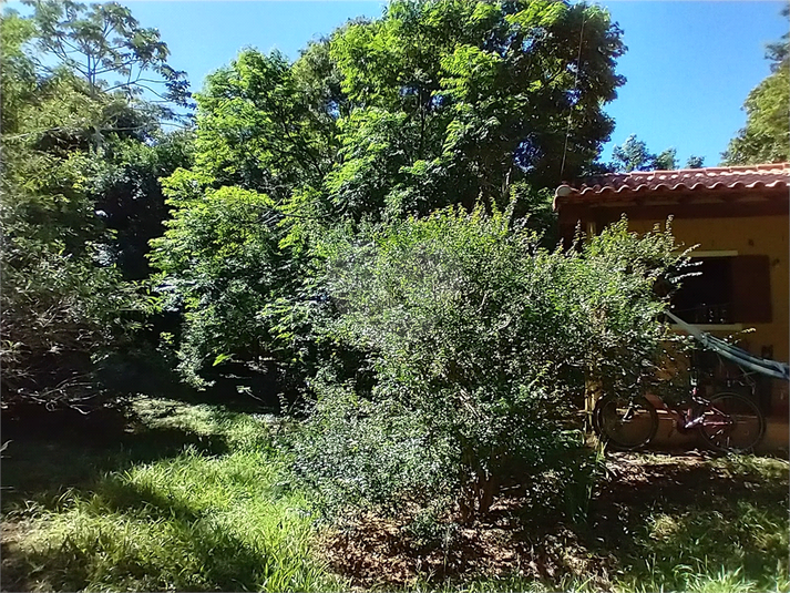 Foto REO1087473