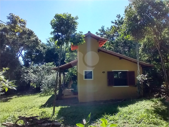 Foto REO1087473