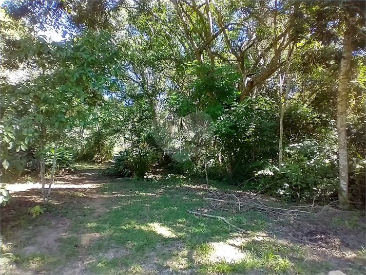 Foto REO1087473