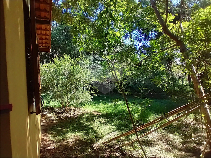 Foto REO1087473