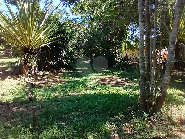 Foto REO1087473