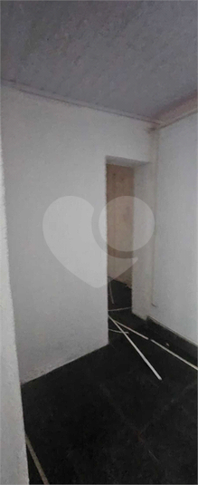 Foto REO1087482