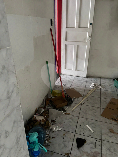 Foto REO1087482