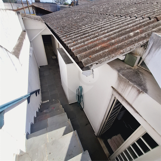 Foto REO1087487