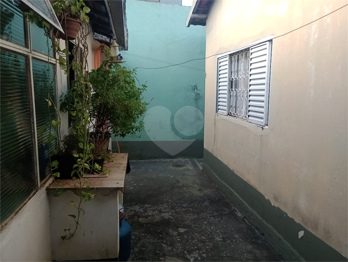 Foto REO1087489