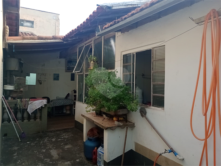 Foto REO1087489