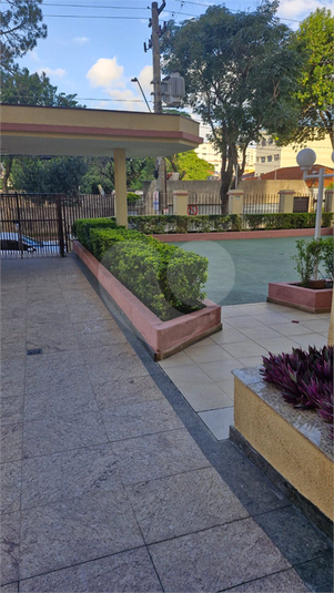 Foto REO1087496