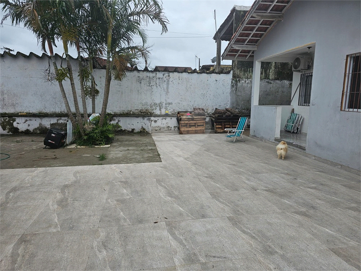 Foto REO1087497
