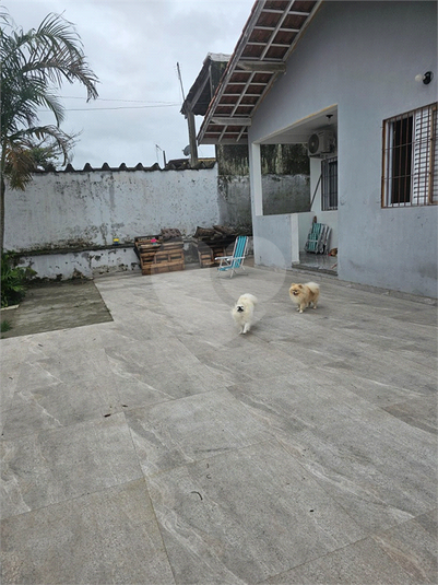Foto REO1087497