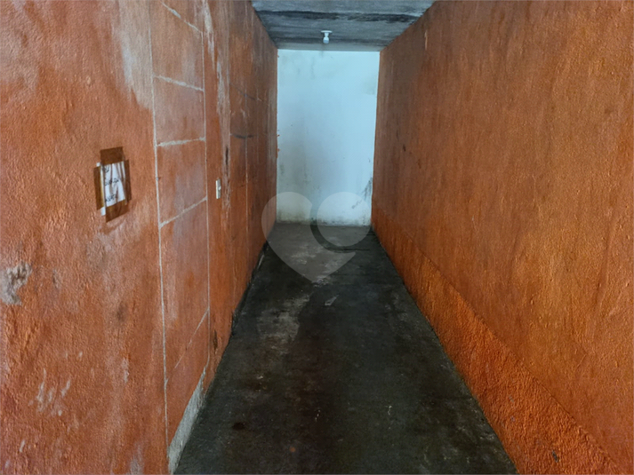 Foto REO1087499